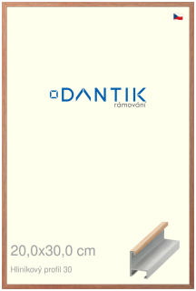 DANTIK rám na obraz 20x30 | ALU Dýha dub lak matný (Sklo Čiré)