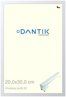 DANTIK rám na obraz 20x30 | ALU Bílá matná (Sklo Čiré)