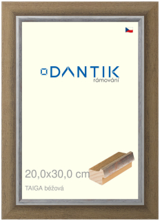 DANTIK rám na obraz 20x30 | TAIGA béžová (Sklo Čiré)