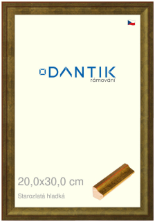 DANTIK rám na obraz 20x30 | Starozlatá hladká (Sklo Čiré)
