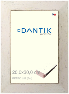 DANTIK rám na obraz 20x30 | RETRO bílá (Sklo Čiré)