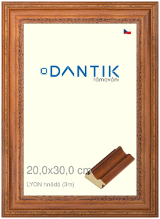 DANTIK rám na obraz 20x30 | LYON hnědá (Sklo Čiré)