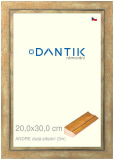 DANTIK rám na obraz 20x30 | ANDRE zlatá střední (Sklo Čiré)