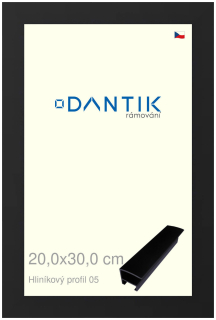 DANTIK rám na obraz 20x30 | ALU Černá matná (Sklo Čiré)