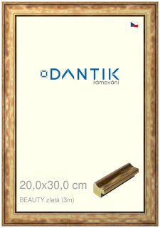 DANTIK rám na obraz 20x30 | BEAUTY zlatá (Sklo Čiré)