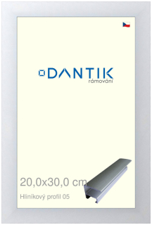 DANTIK rám na obraz 20x30 | ALU Stříbrná matná (Sklo Čiré)