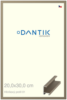 DANTIK rám na obraz 20x30 | ALU champagne (Sklo Čiré)