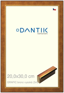 DANTIK rám na obraz 20x30 | GRAFIC bronz vysoká (Sklo Čiré)