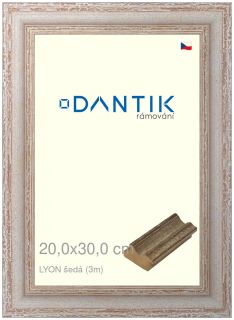 DANTIK rám na obraz 20x30 | LYON šedá (Sklo Čiré)