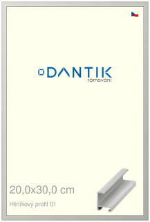 DANTIK rám na obraz 20x30 | ALU Stříbrná matná (Sklo Čiré)