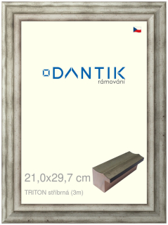 DANTIK rám na obraz 21x29,7 | TRITON stříbrná (Sklo Čiré)