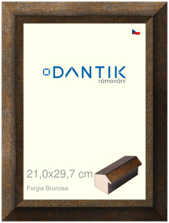 DANTIK rám na obraz 21x29,7 | Forgia Bronzea (Sklo Čiré)
