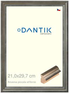 DANTIK rám na obraz 21x29,7 | ANIVERSA piccola stříbrná (Sklo Čiré)