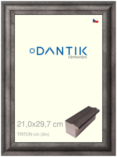 DANTIK rám na obraz 21x29,7 | TRITON cín (Sklo Čiré)