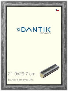 DANTIK rám na obraz 21x29,7 | BEAUTY stříbrná (Sklo Čiré)