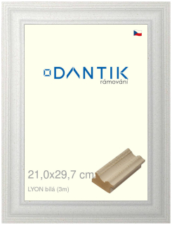 DANTIK rám na obraz 21x29,7 | LYON Bílá (Sklo Čiré)