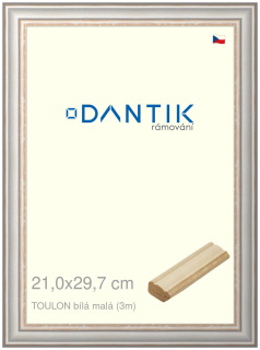 DANTIK rám na obraz 21x29,7 | TOULON bílá malá (Sklo Čiré)