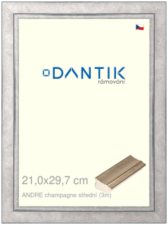 DANTIK rám na obraz 21x29,7 | ANDRE champagne střední (Sklo Čiré)