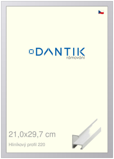 DANTIK rám na obraz 21x29,7 | ALU Bílá matná (Sklo Čiré)