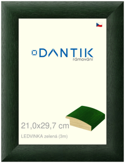 DANTIK rám na obraz 21x29,7 | LEDVINKA zelená (Sklo Čiré)
