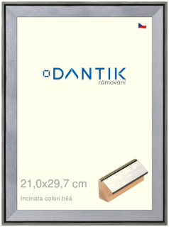 DANTIK rám na obraz 21x29,7 | INCLINATA colori Bílá (Sklo Čiré)