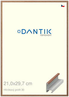 DANTIK rám na obraz 21x29,7 | ALU Dýha ořech lak matný (Sklo Čiré)