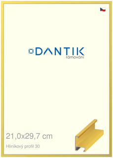 DANTIK rám na obraz 21x29,7 | ALU Dýha barevná žlutá citrus (Sklo Čiré)