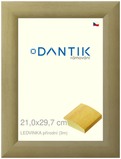 DANTIK rám na obraz 21x29,7 | LEDVINKA přírodní (Sklo Čiré)