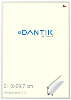 DANTIK rám na obraz 21x29,7 | ALU Bílá matná (Sklo Čiré)