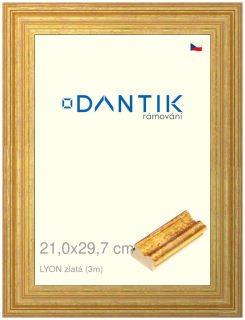 DANTIK rám na obraz 21x29,7 | LYON zlatá (Sklo Čiré)