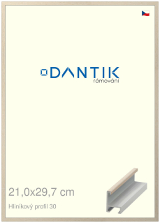 DANTIK rám na obraz 21x29,7 | ALU Dýha slovnová kost (Sklo Čiré)