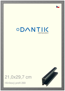 DANTIK rám na obraz 21x29,7 | ALU Platina matná (Sklo Čiré)
