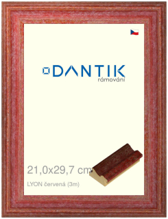 DANTIK rám na obraz 21x29,7 | LYON červená (Sklo Čiré)