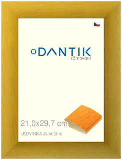 DANTIK rám na obraz 21x29,7 | LEDVINKA žlutá (Sklo Čiré)