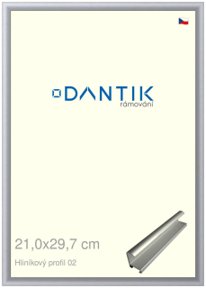DANTIK rám na obraz 21x29,7 | ALU Stříbrná matná (Sklo Čiré)