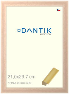 DANTIK rám na obraz 21x29,7 | NPINO přírodní (Sklo Čiré)