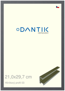 DANTIK rám na obraz 21x29,7 | ALU Platina matná (Sklo Čiré)