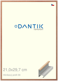 DANTIK rám na obraz 21x29,7 | ALU Dýha dub lak matný (Sklo Čiré)