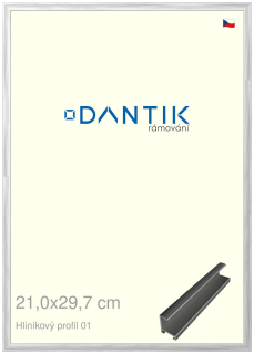 DANTIK rám na obraz 21x29,7 | ALU Stříbrná lesklá (Sklo Čiré)