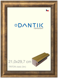 DANTIK rám na obraz 21x29,7 | TRITON zlatá (Sklo Čiré)