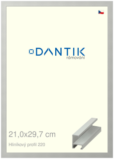 DANTIK rám na obraz 21x29,7 | ALU Stříbrná matná (Sklo Čiré)