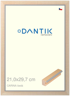 DANTIK rám na obraz 21x29,7 | CARINA šedá (Sklo Čiré)