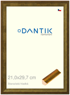 DANTIK rám na obraz 21x29,7 | Starozlatá hladká (Sklo Čiré)