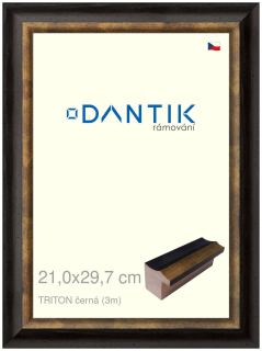 DANTIK rám na obraz 21x29,7 | TRITON černá (Sklo Čiré)