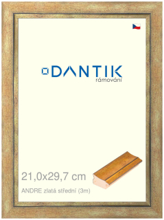 DANTIK rám na obraz 21x29,7 | ANDRE zlatá střední (Sklo Čiré)