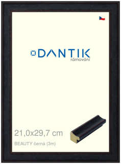 DANTIK rám na obraz 21x29,7 | BEAUTY černá (Sklo Čiré)