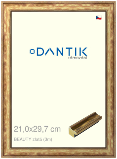 DANTIK rám na obraz 21x29,7 | BEAUTY zlatá (Sklo Čiré)