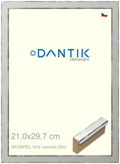 DANTIK rám na obraz 21x29,7 | AKVAREL Bílá vysoká (Sklo Čiré)