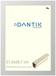 DANTIK rám na obraz 21x29,7 | PASTELKA bílá rovná (Sklo Čiré)