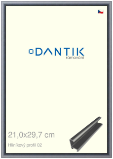 DANTIK rám na obraz 21x29,7 | ALU Platina matná (Sklo Čiré)
